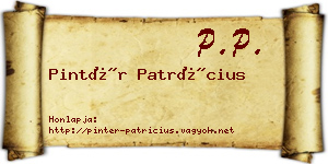 Pintér Patrícius névjegykártya